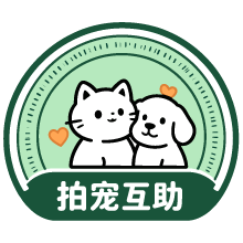 拍宠互助共创平台LOGO
